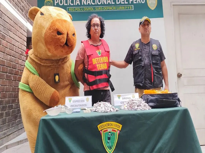 Policía disfrazado de capibara capturó a presunto micro comercializador de droga en San Valentín