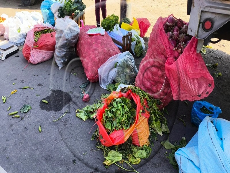 Se pierde 1.5 millones de kilos de cebolla a la semana por bloqueo de carreteras: ¿Y la papa y el tomate?
