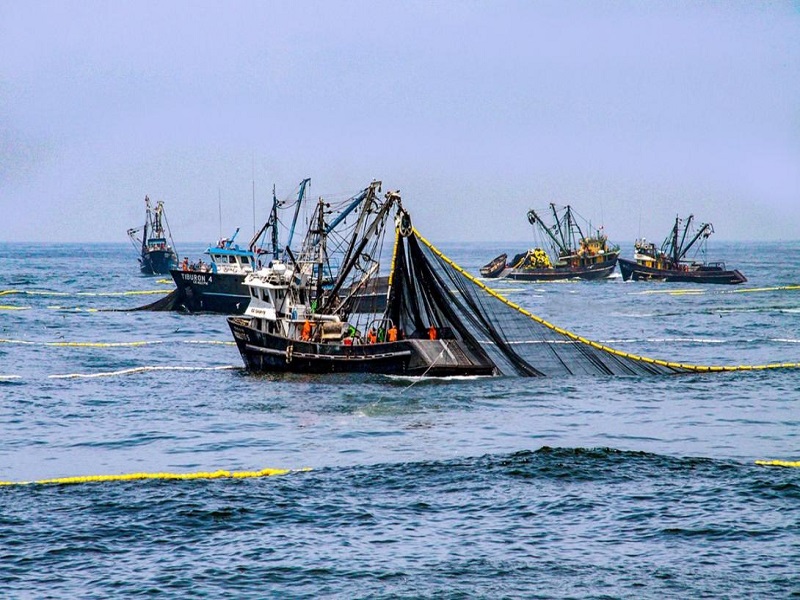 Tribunal constitucional: Pescadores esperan que el TC resuelva demanda sobre Extinción de Dominio antes de iniciar la temporada de pesca