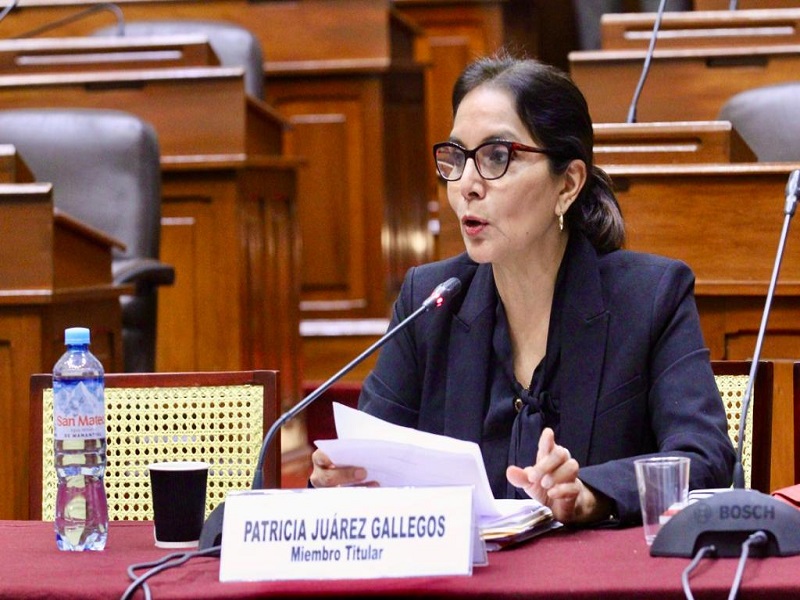 Patricia Juárez: Modernización del sistema previsional se debe dar por trabajadores independientes que no tendrán pensiones