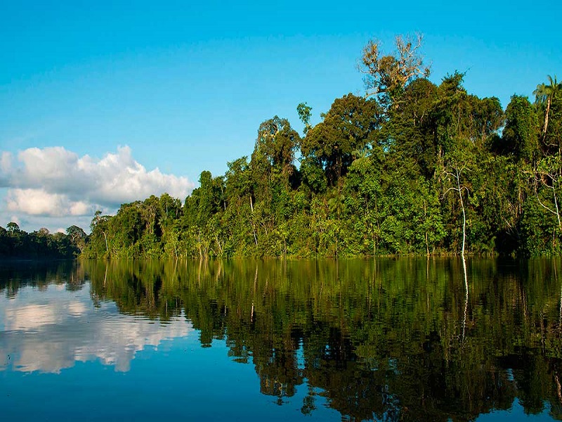 Especialistas internacionales analizarán políticas anticorrupción en favor de la Amazonía