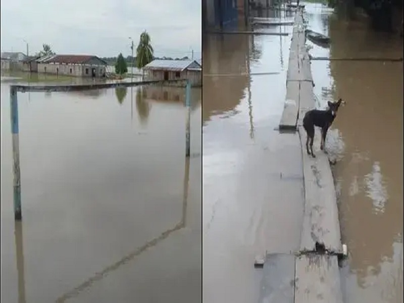 Loreto: pobladores de Puca Panga reportan que están totalmente abandonados tras inundación