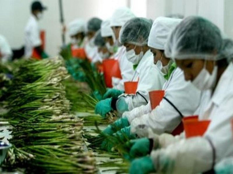 ¿La próxima revolución agroindustrial del Perú será o no sostenible?